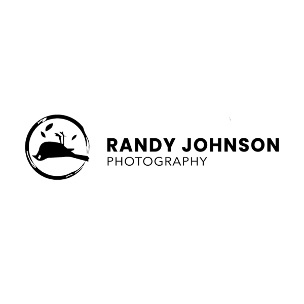 Randy Johnson logo