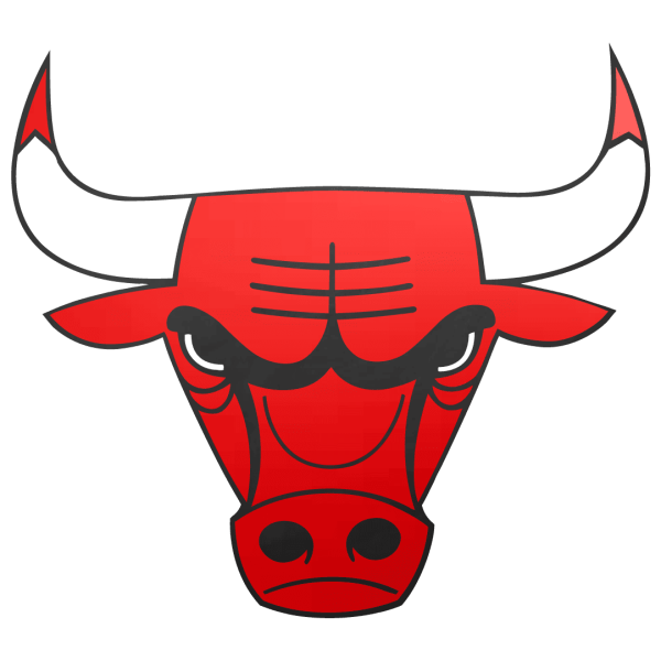 Chicago Bulls Logo - Image 4