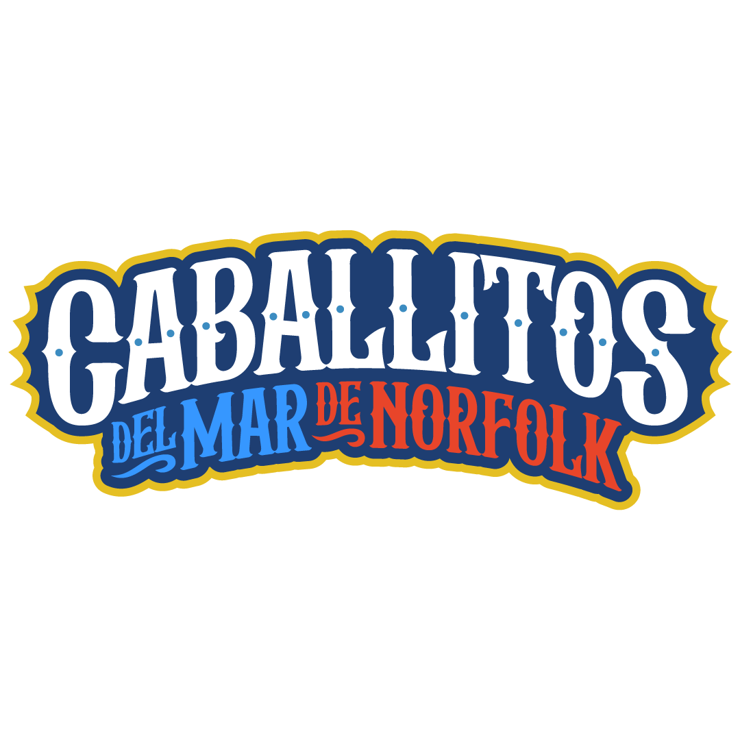 New Norfolk Tides Logo - Image 2