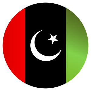 pakistan peoples party logo- HD PPP poltical party transparent background free download