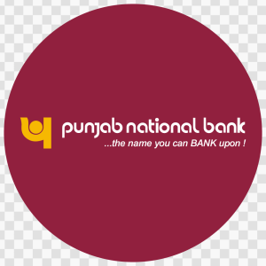 Punjab National Bank Logo-PNB HD transparent background png free download