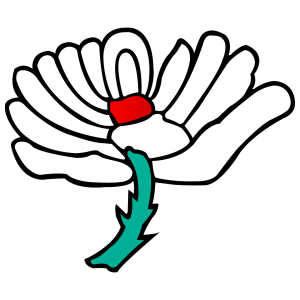 Yorkshire County Cricket Club Logo- HD transparent background png free download