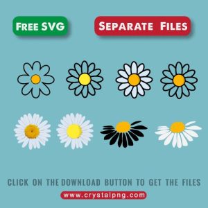 Daisy Svg