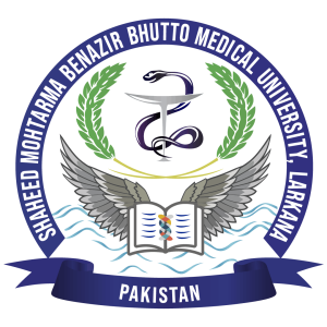SMBBMU Logo- medical university larkana png free download