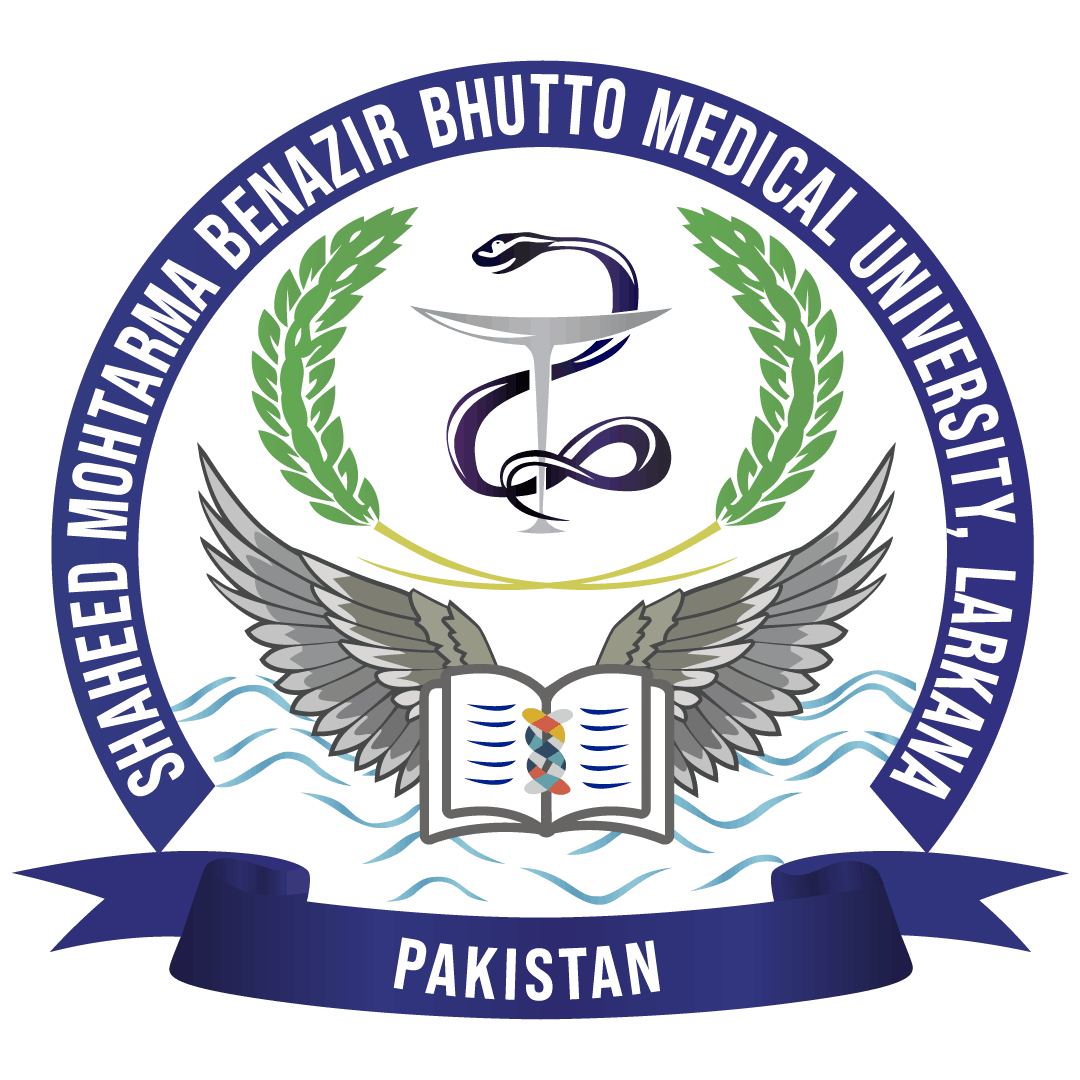 SMBBMU Logo- medical university larkana png free download