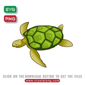 Turtle SVG Free